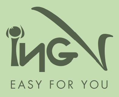 ING Professional